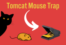 Tomcat Mouse Traps Bait