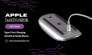 Apple Mouse Models Multi-Touch Technology