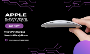 Apple Mouse Models Multi-Touch Technology