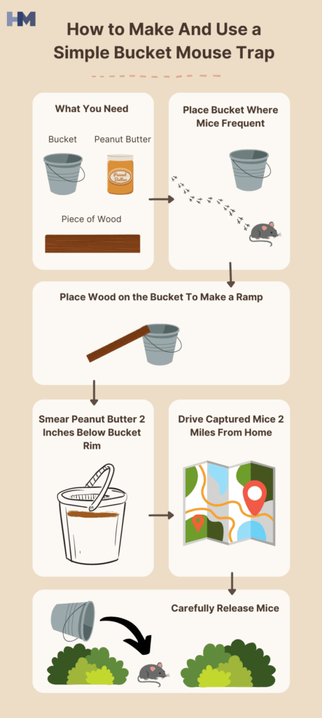 Step-by-step instructions for building a homemade mouse trap with a bucket