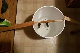 How does the homemade mouse trap with a bucket work?
